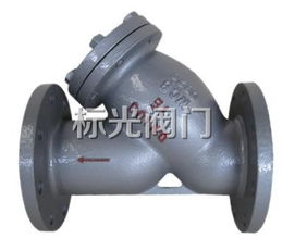 鑄鋼Y型過濾器的安裝與維護(hù)事項